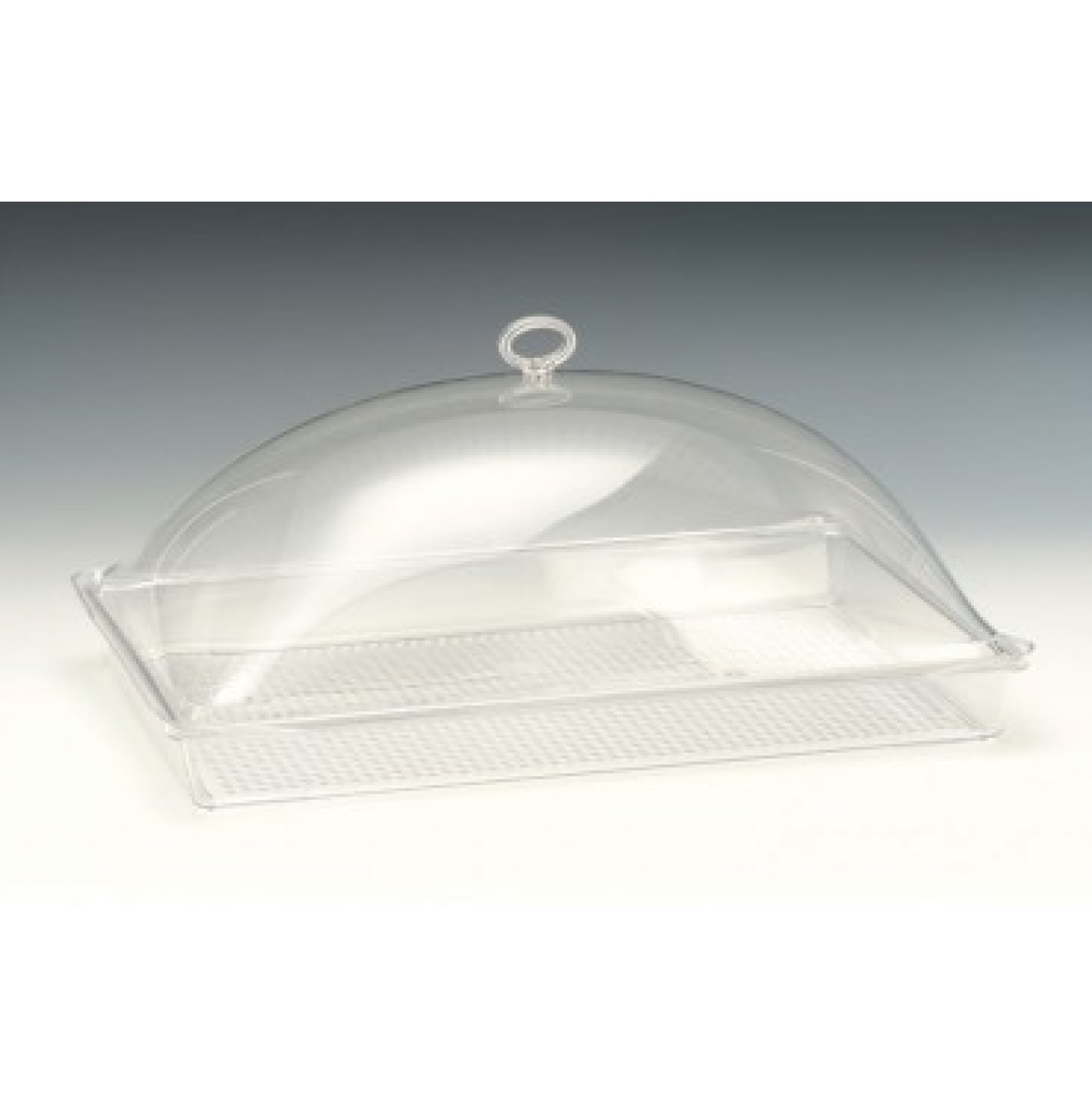 AKRİLİK KAPAKLI POLYCARBONAT TEPSİLİ MUHAFAZA KABI 31 X 46 X H: 16 Cm